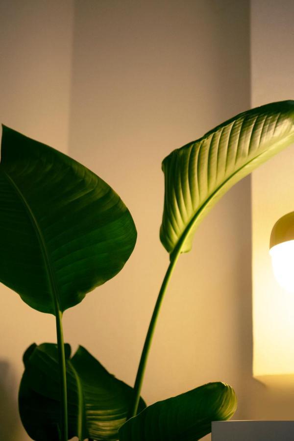 #9 3Mins To Station 1Stop To Shinjuku Stylish Apartment With Plenty Of Sunlight Tokio Exterior foto